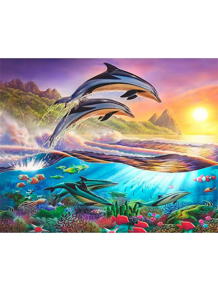 «Дельфин» скачать раскраски