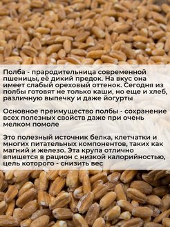 Манка полбяная рецепт каши