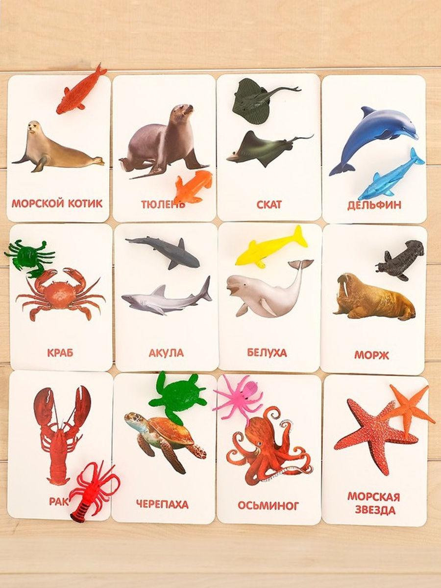 Карточки с морскими животными