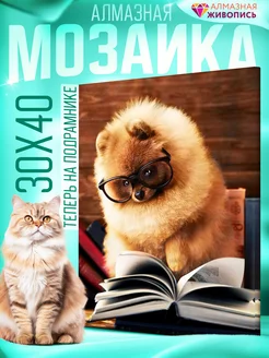 Алмазная мозаика "Шпиц за книгой" 30х40см