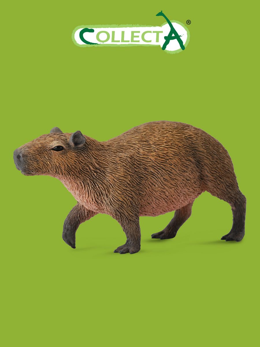 Capybara rock rust фото 15