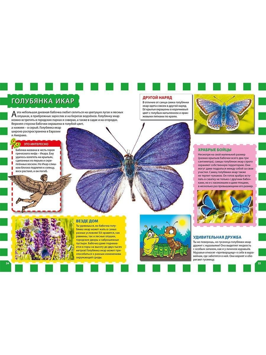 Популярная детская энциклопедия мир бабочек. Книга бабочки популярная детская энциклопедия.