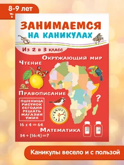 Занимаемся на каникулах. Из 2 в 3 класс