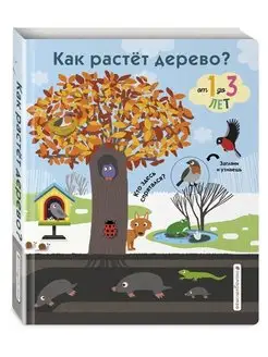 Как растет дерево?