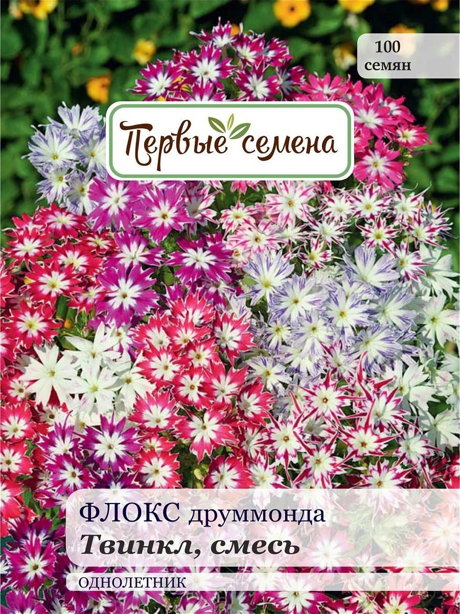 Флокс друммонда смесь