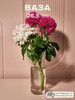 Ваза стеклянная прозрачная Flora для цветов и сухоцветов бренд Pasabahce продавец Продавец № 16867
