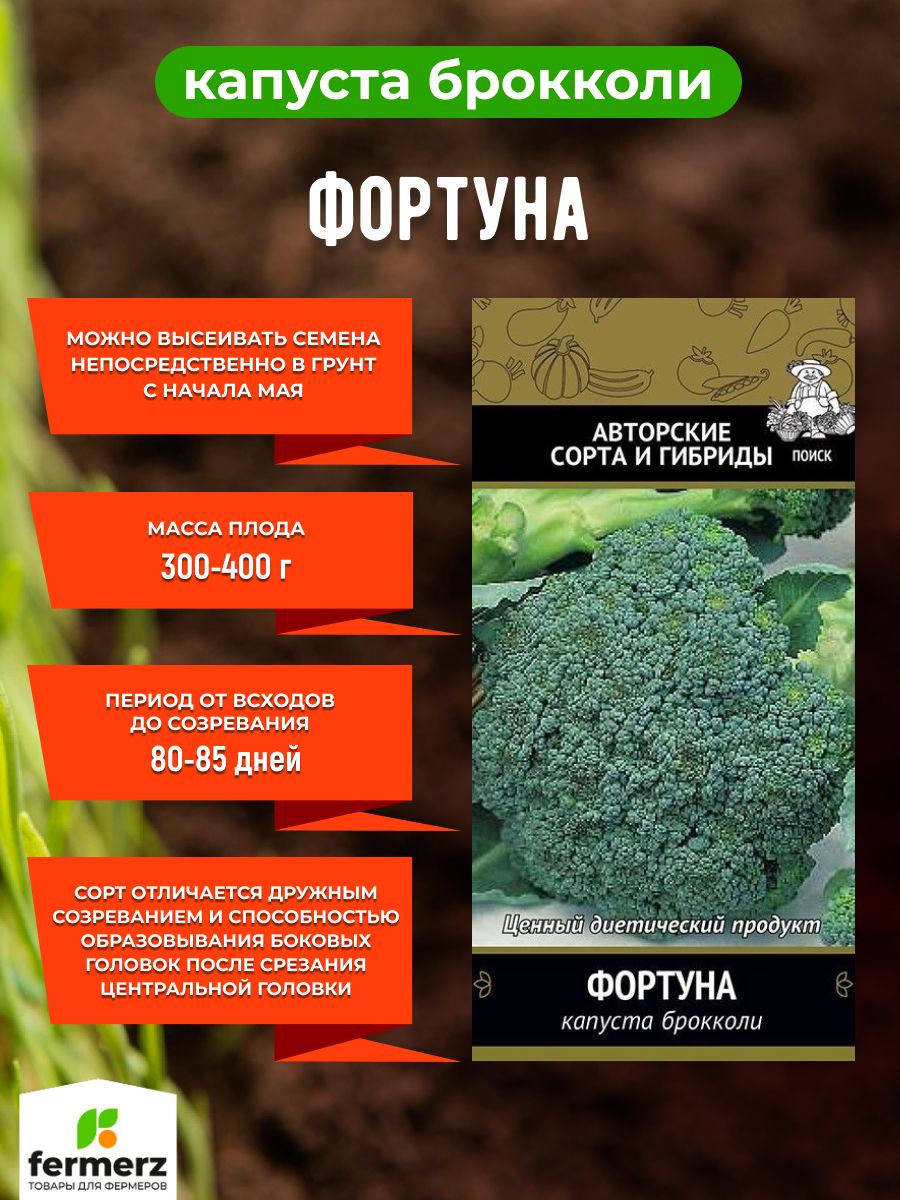 Брокколи фортуна описание сорта фото