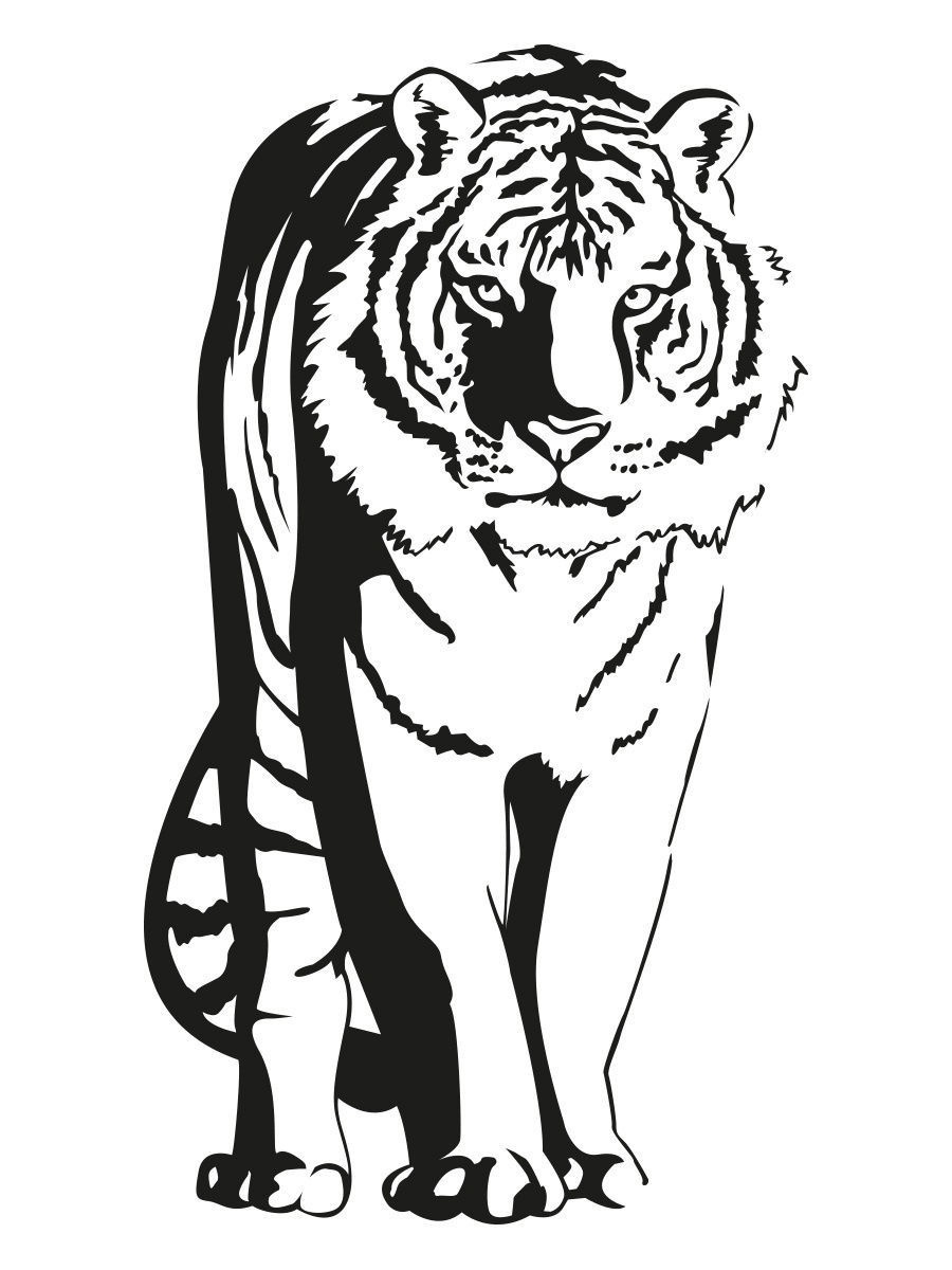 Абрис тигра
