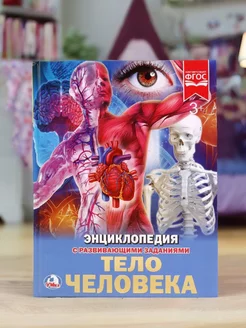 Книга детская энциклопедия с заданиями Тело человека