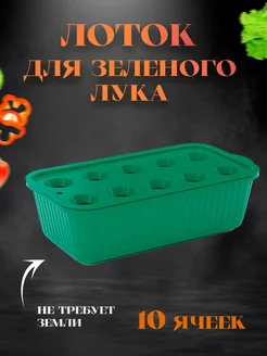 Лоток для выращивания лука