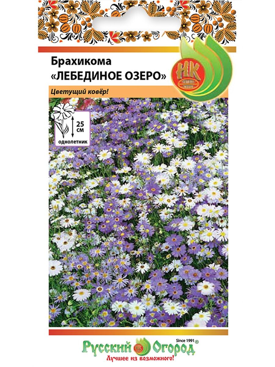 брахикома лебединое озеро посадка и уход в открытом грунте