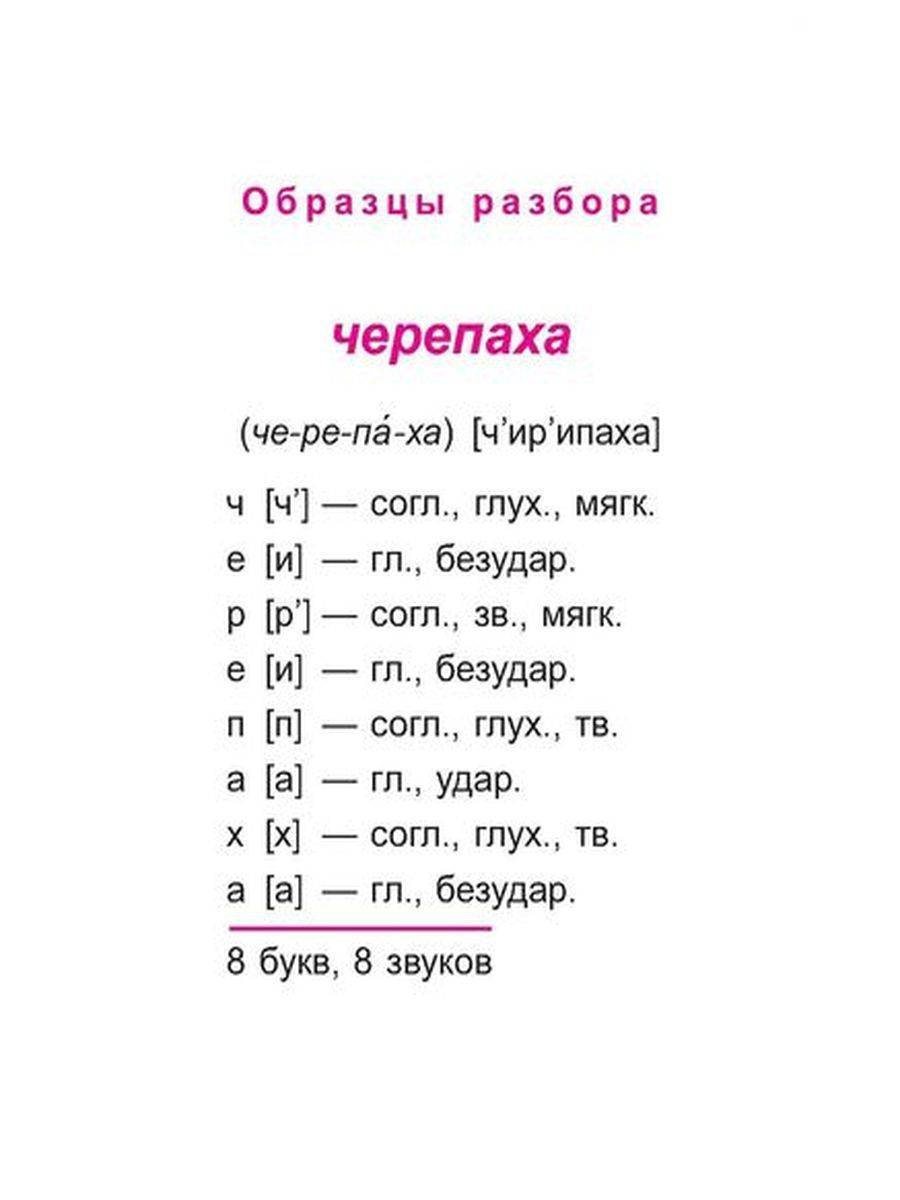 5 разбор в русском