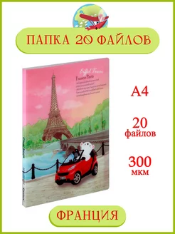 Папка канцелярская для документов с 20 файлами А4