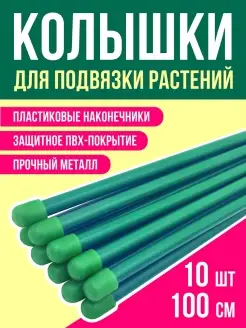 Колышки садовые 10 шт, 100 см, металл