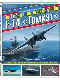 Истребитель-перехватчик F-14 «Томкэт»