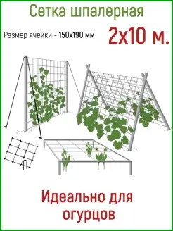 Сетка шпалерная для огурцов, размер 2м*10м, ячейка 170мм