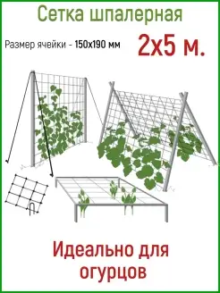 Сетка шпалерная для огурцов, размер 2м*5м, ячейка 170мм