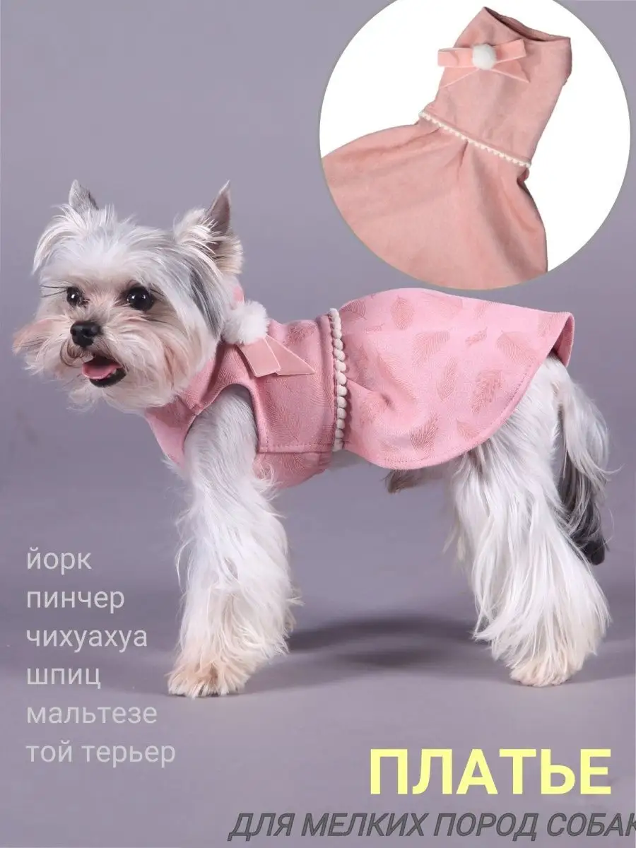 Платья для собак