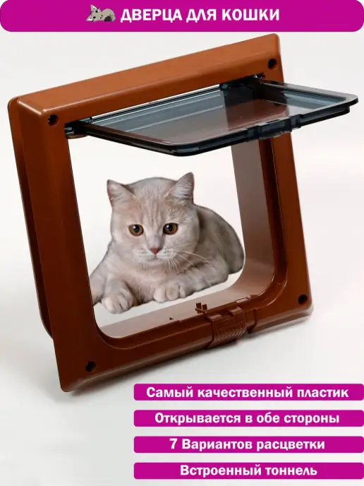 Выставка кошек, 3-4 сентября, Гродно, WCF