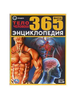 Книга детская энциклопедия Тело человека 365 фактов