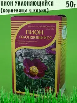 Пион уклоняющийся, корень 50 г