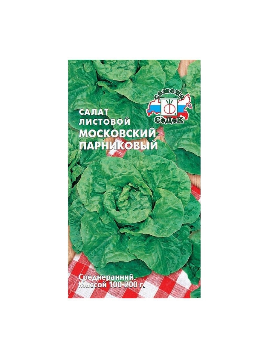 Как посадить салат московский парниковый