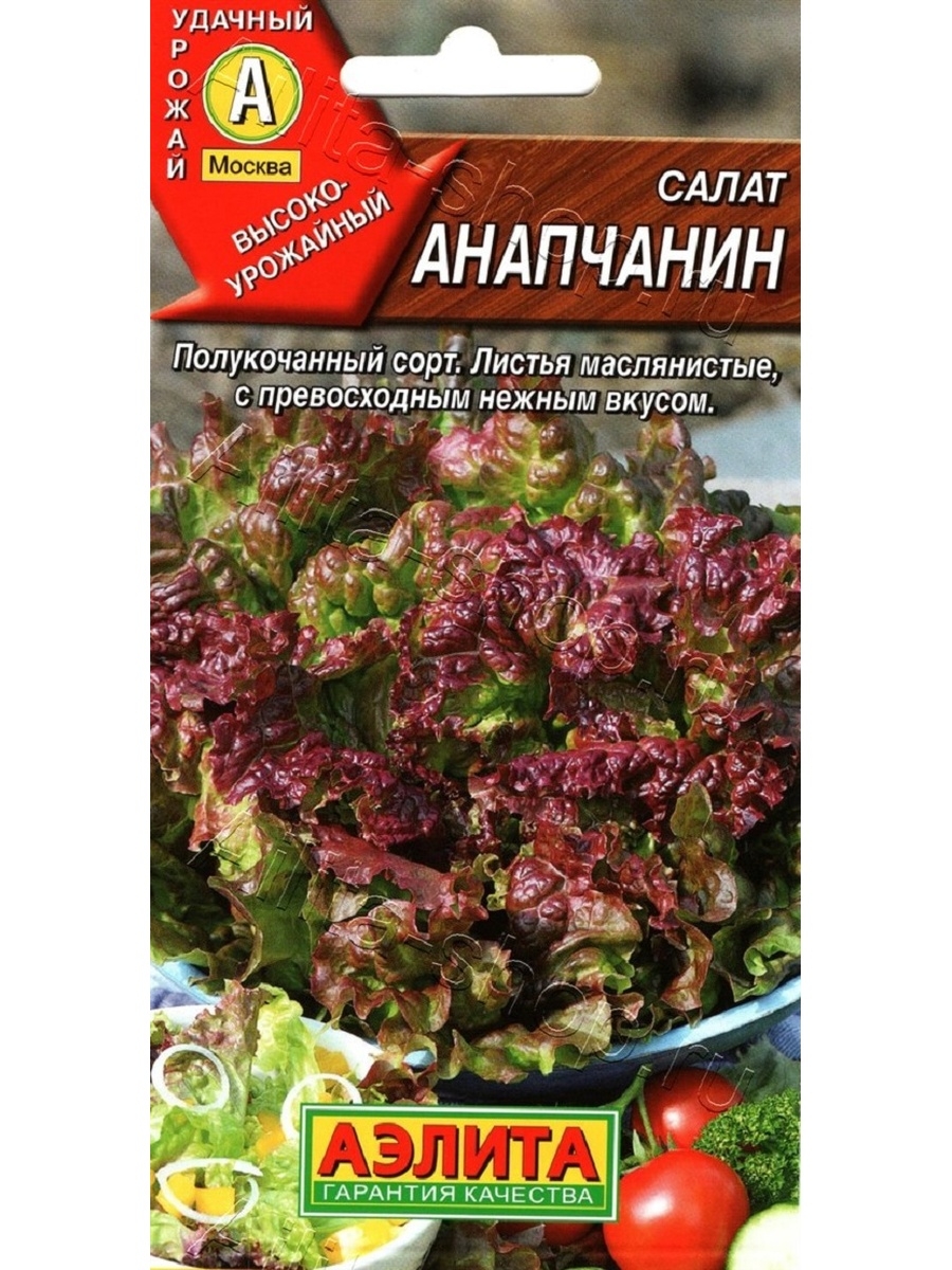 Салат ореховый полукочанный аэлита