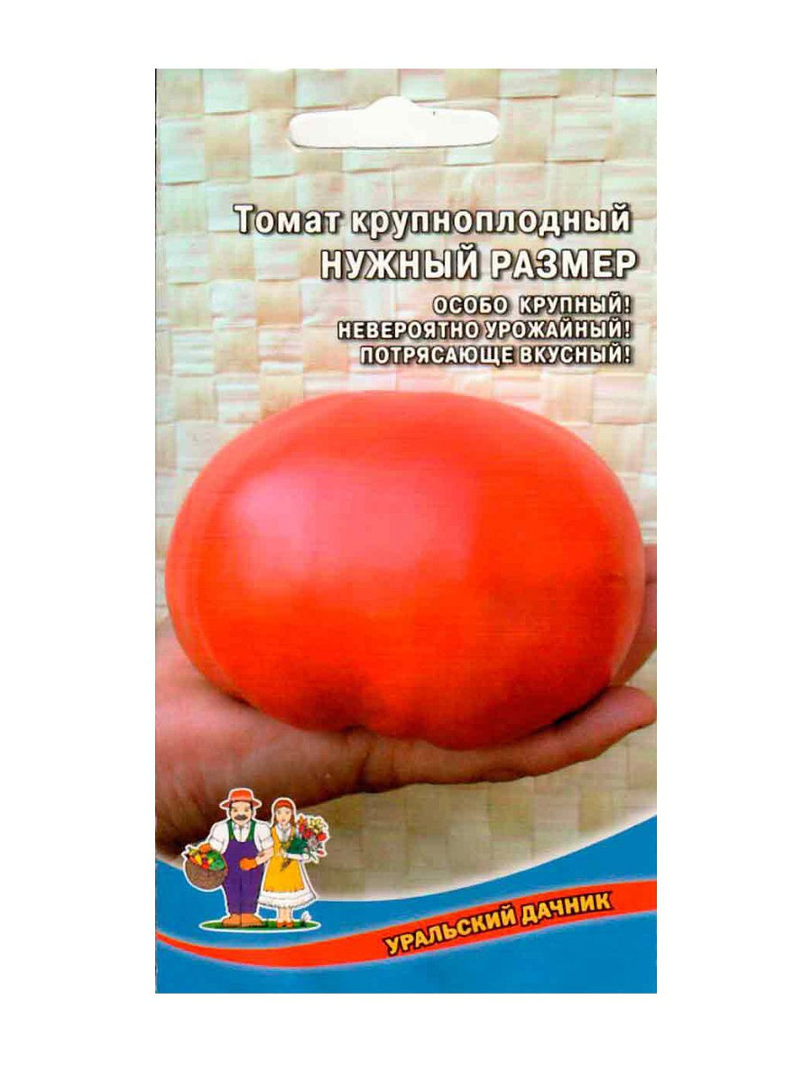 Томат нужен. Уральский Дачник семена томат нужный размер f1. Томат нужный размер f1. Томат крупноплодный нужный размер. Томат нужный размер Сибирский сад.