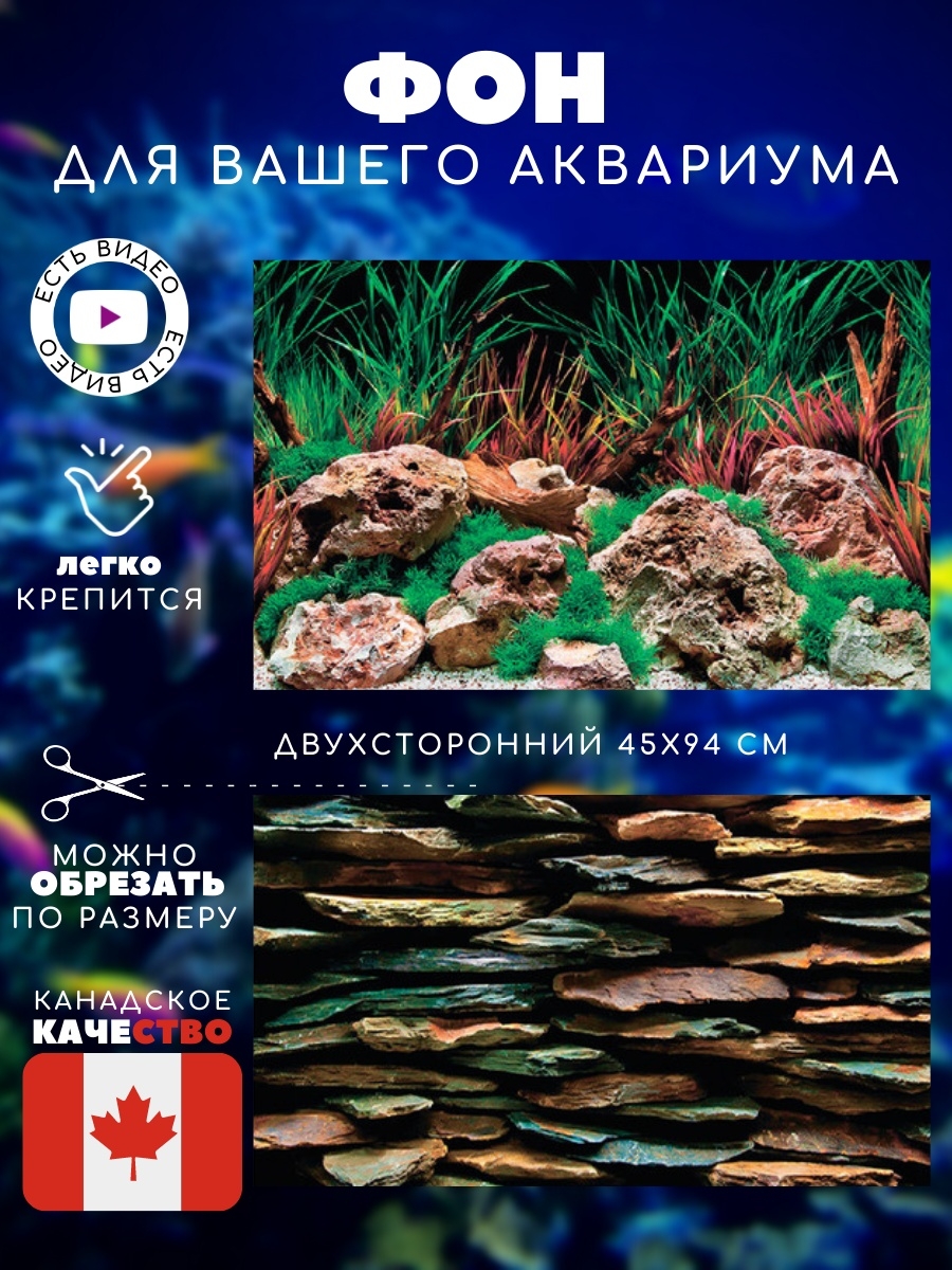 Фон для аквариума Барбус