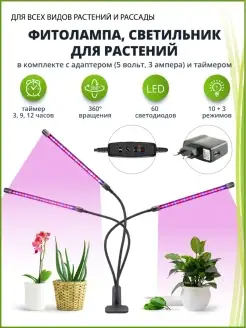 Фитолампы для растений