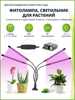 Фитолампы для растений