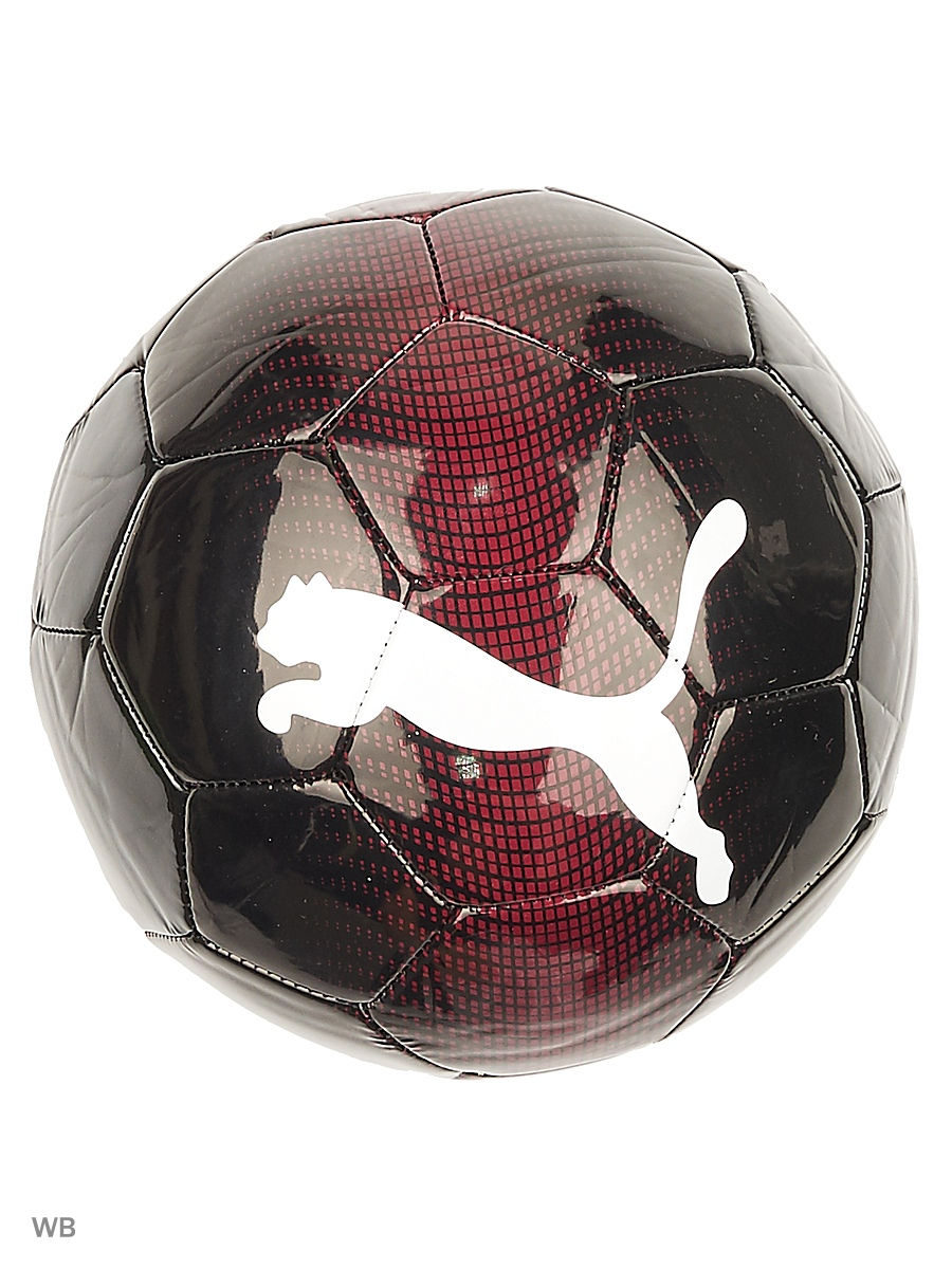 Puma ACM icon Mini Ball