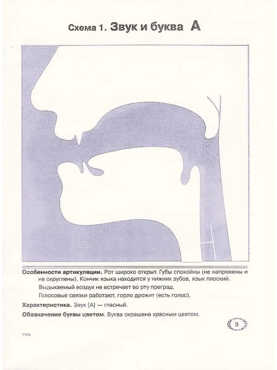 Горло схема и описание