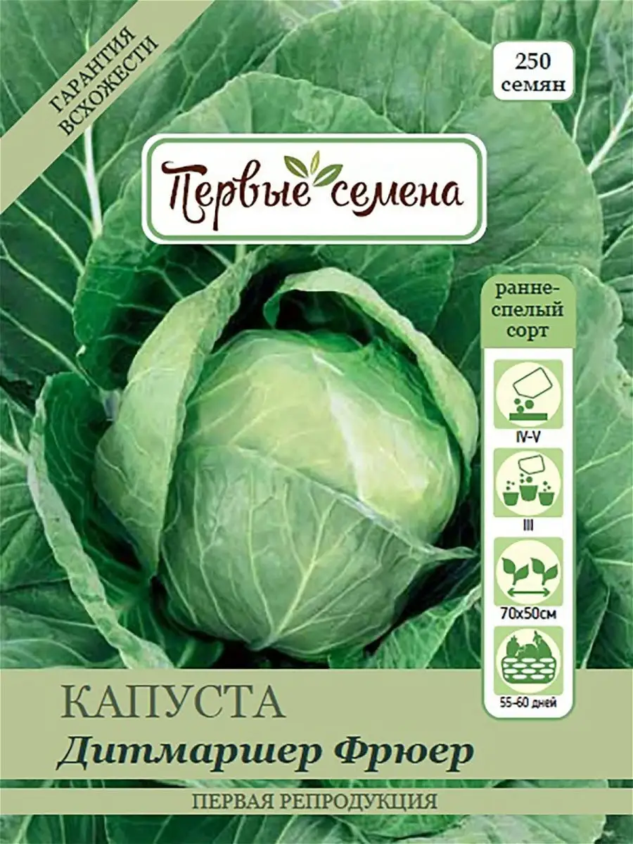 Капуста Краутман Купить Семена