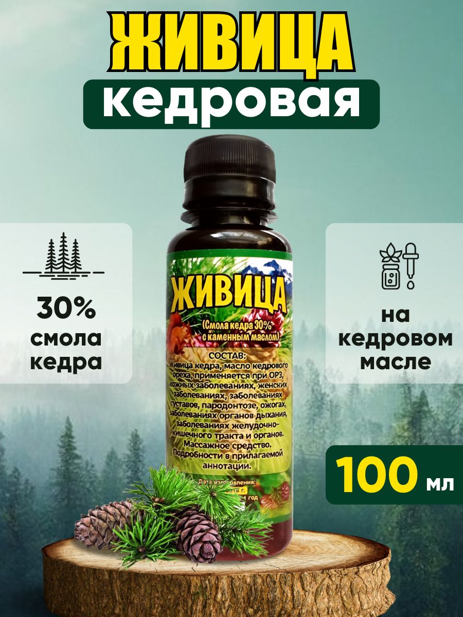 Живица кедровая картинки