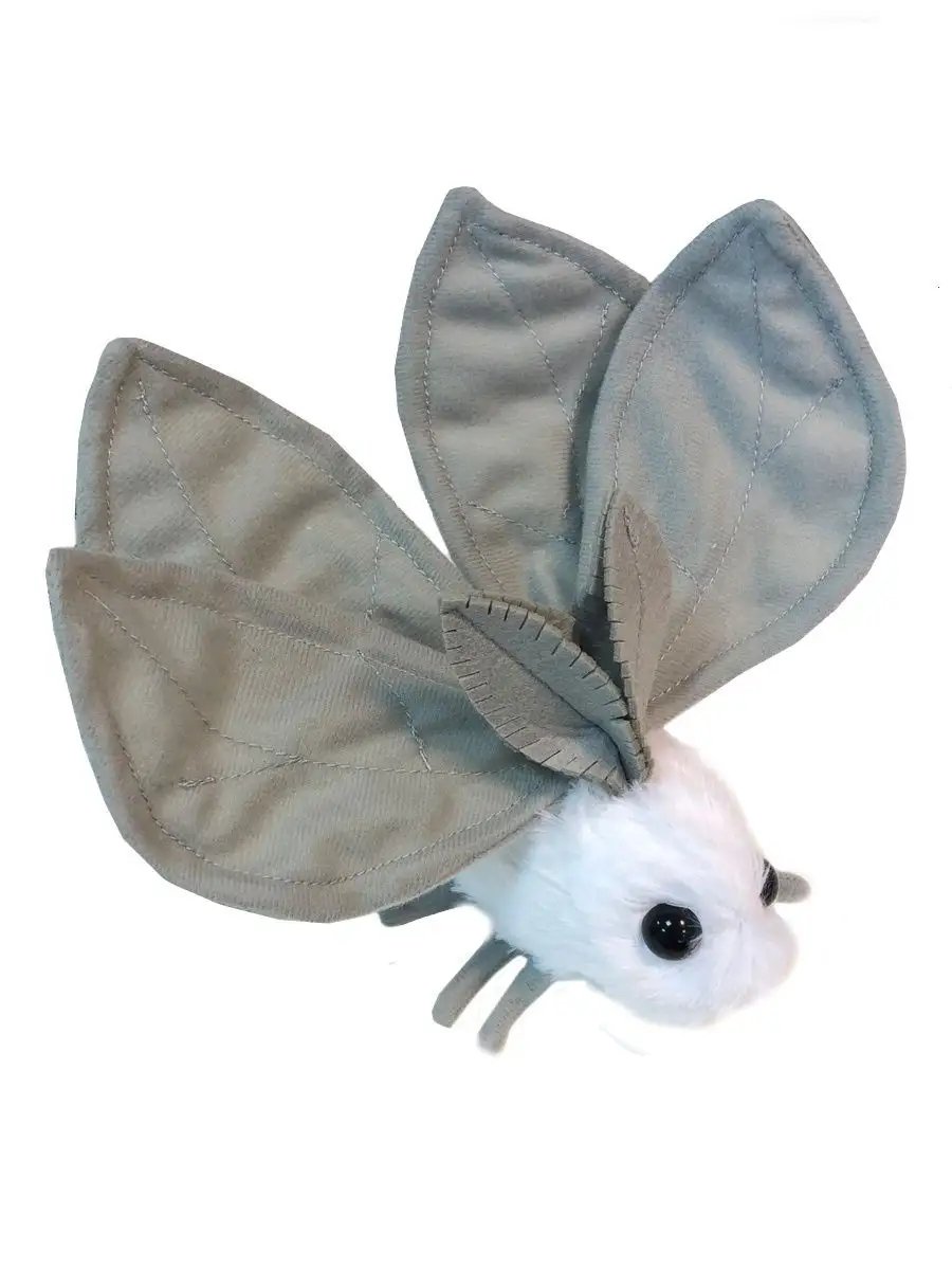 are poodle of moths real