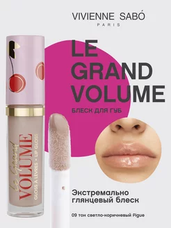 Блеск для губ Le Grand Volume тон 09 Vivienne Sabo 14178061 купить за 347 ₽ в интернет-магазине Wildberries