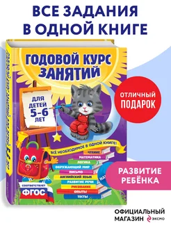 Годовой курс занятий для детей 5-6 лет (с наклейками)