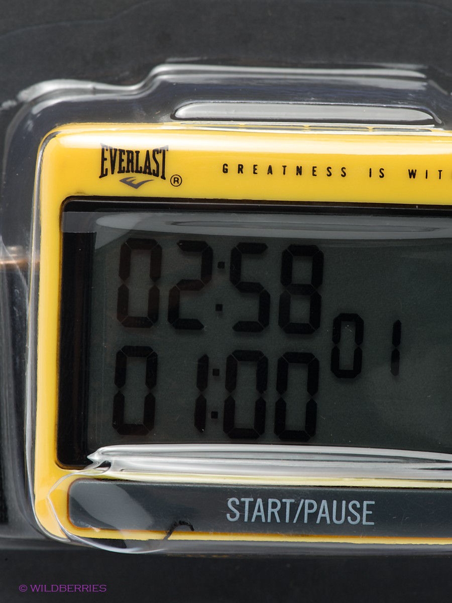 everlast gym timer