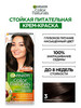 Стойкая крем-краска для волос Color Naturals бренд Garnier продавец Продавец № 32477