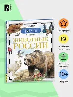 Животные России. Детская энциклопедия от 10 лет