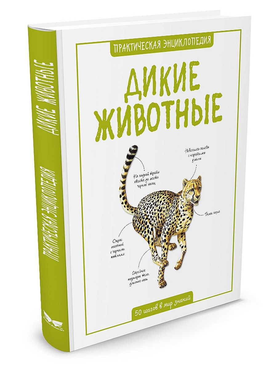 Практический животный. Детская энциклопедия Махаон животные. Книга Дикие животные. Энциклопедия. Дикие животные. Махаон Дикие животные практическая энциклопедия.