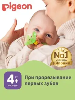 Прорезыватель Step 1, 4+ мес. Пиджен