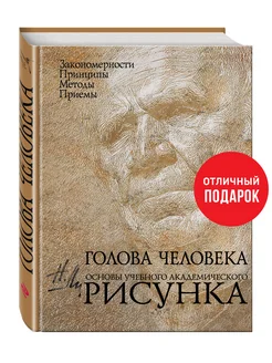 Голова человека Основы учебного академического рисунка