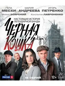 Черная кошка (2016) 16 серий (Blu-ray) 2 BD