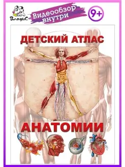 Детский атлас анатомии. Детская книга