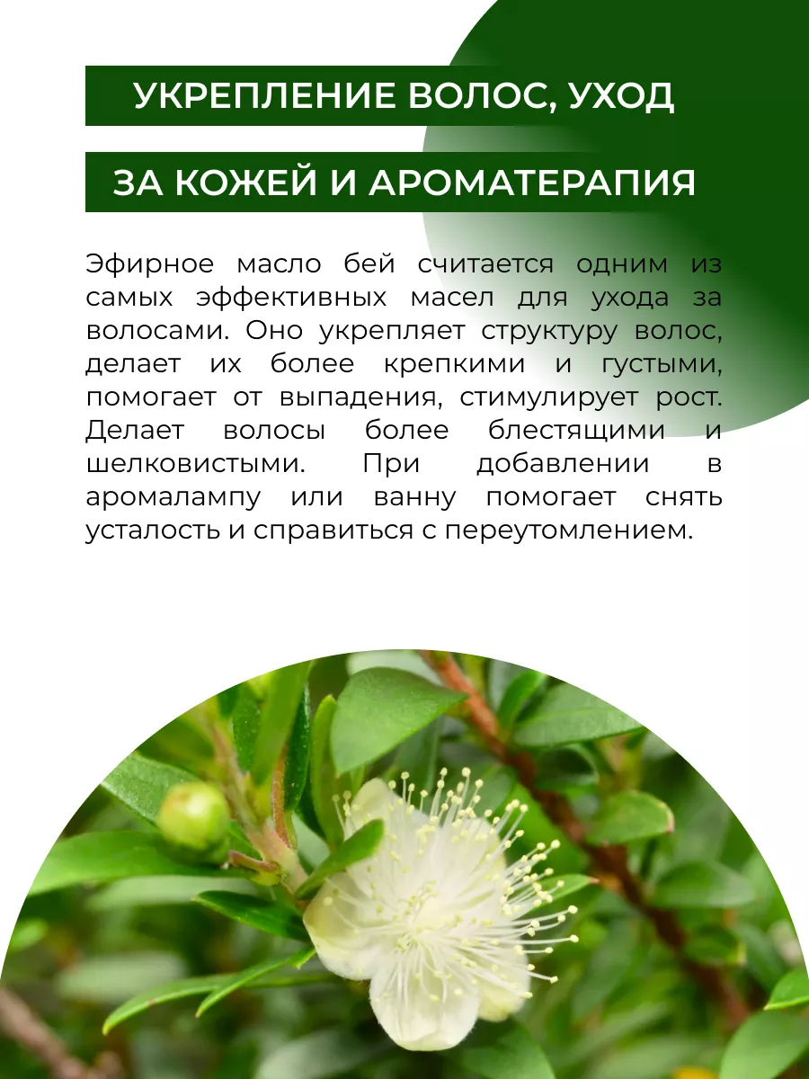 Натуральное эфирное масло бей Siberina 4285839 купить за 694 ₽ в интернет-магазине Wildberries