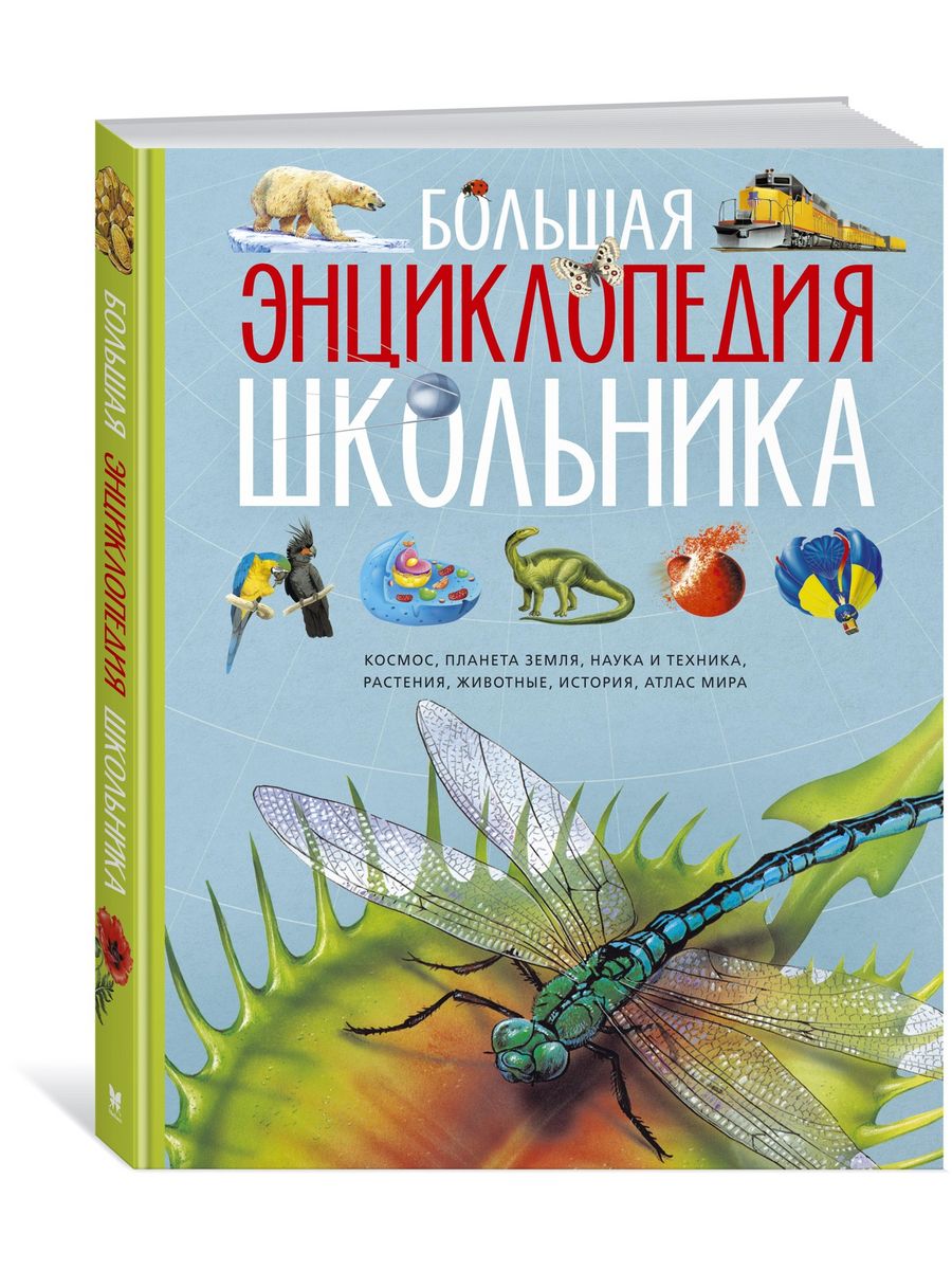 Энциклопедия школьника. Большая энциклопедия школьника Издательство Махаон. Большая энциклопедия школьника Махаон 2008. Новая энциклопедия школьника (нов.оф.) Энциклопедии Махаон. Энциклопедии издательства Махаон.