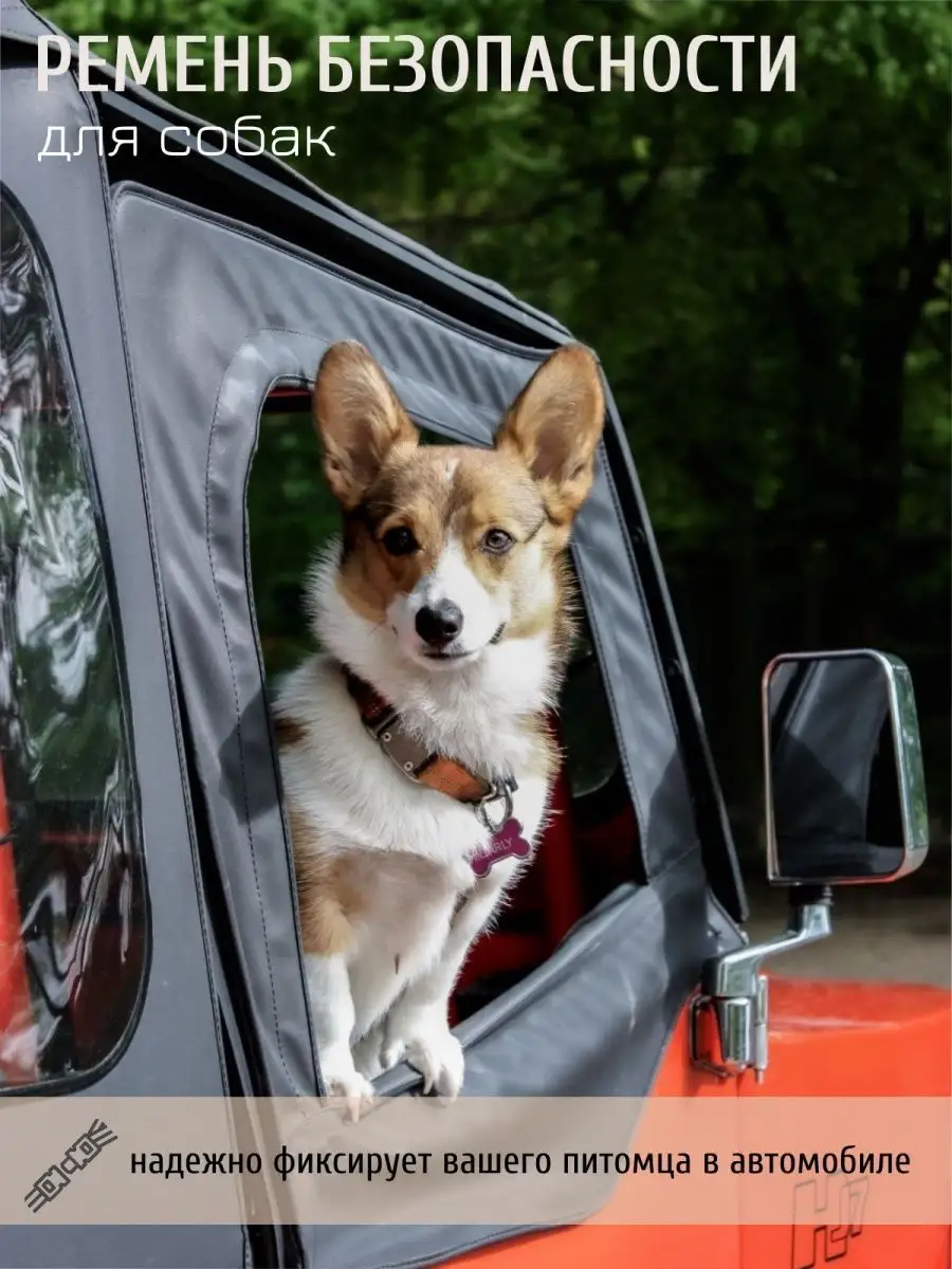 Автомобильный ремень безопасности для собак Trixie, 50-70 см