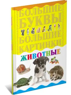 Книга Животные. Большие буквы. Большие картинки